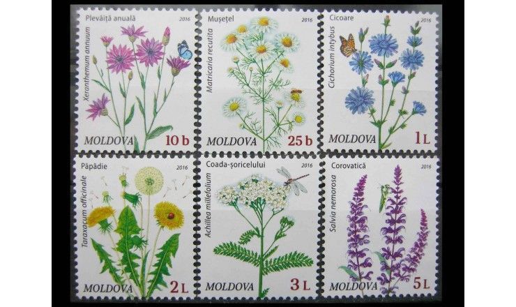 Молдавия 2016 г. "Флора: Полевые Цветы"