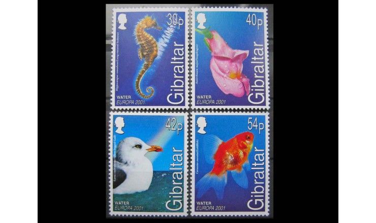 Гибралтар 2001 г. "Фауна, флора"