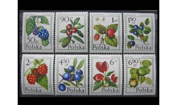 Польша 1977 г. "Лесные фрукты и ягоды"