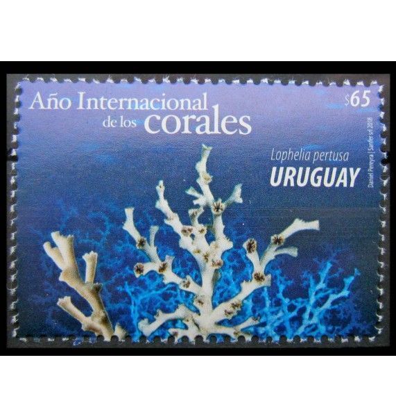 Уругвай 2018 г. "Международный год кораллов"