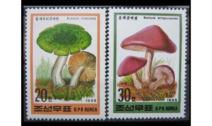 Северная Корея 1995 г. "Альпийские грибы"