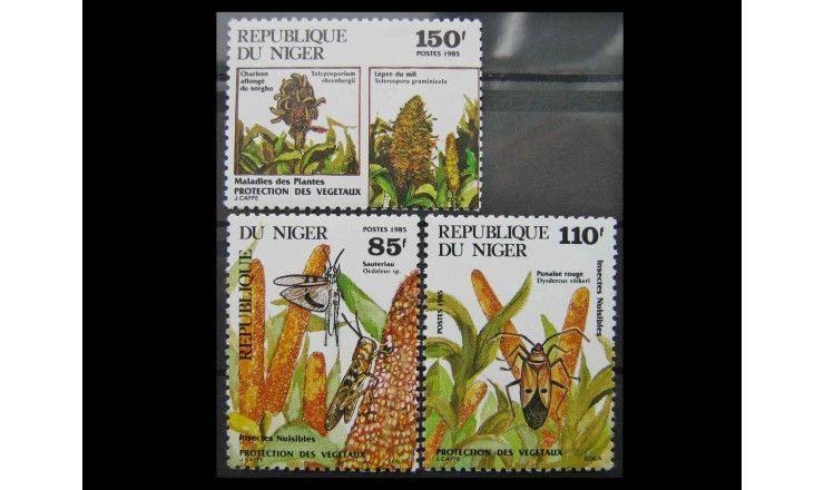 Нигер 1985 г. "Вредители растений"