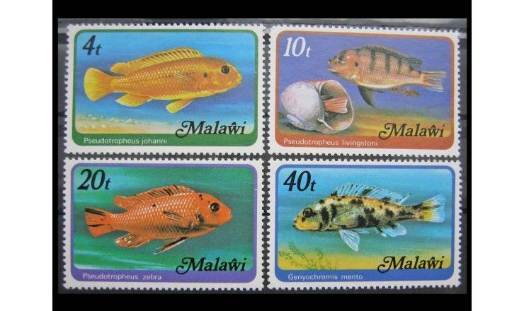 Малави 1977 г. "Малавийские цихлиды"