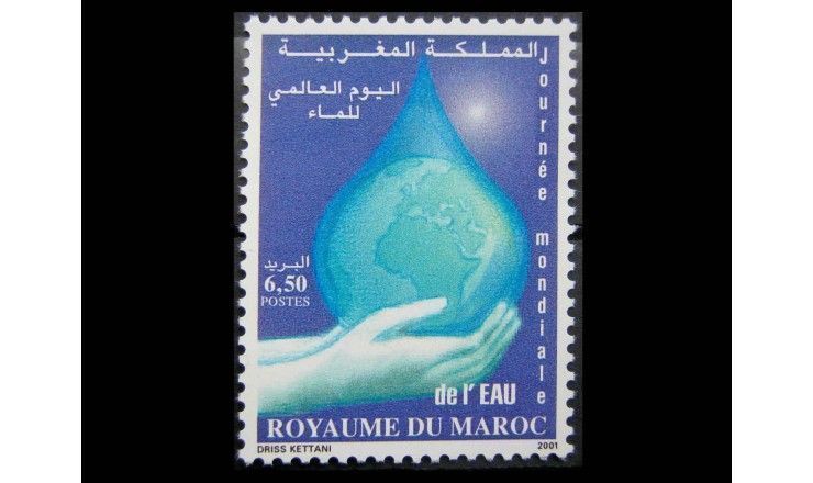 Марокко 2001 г. "Международный день воды"