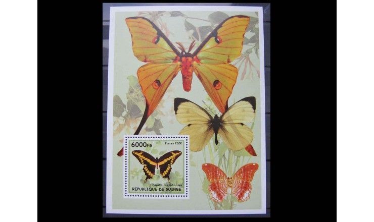 Гвинея 2002 г. "Бабочки"