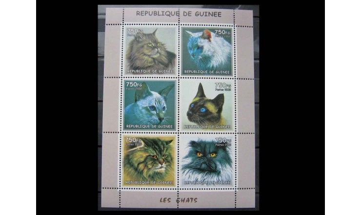 Гвинея 2002 г. "Кошки" 