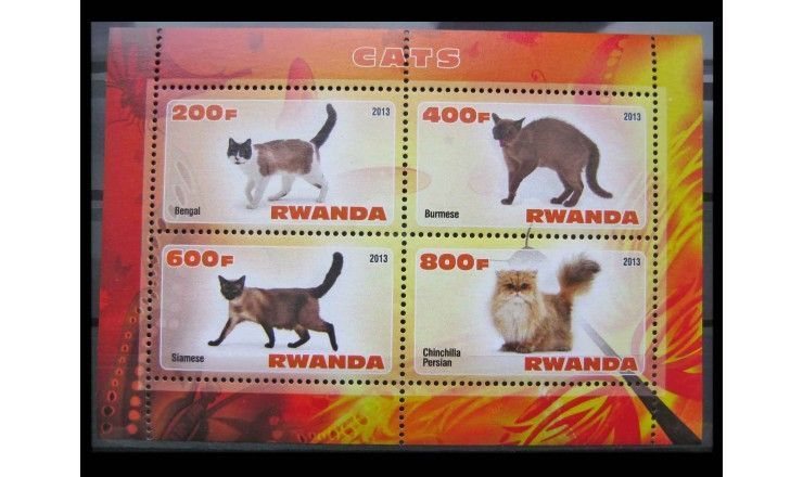 Руанда 2013 г. "Кошки"