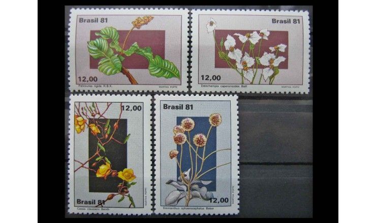 Бразилия 1981 г. "Растения"