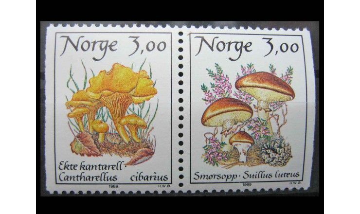 Норвегия 1989 г. "Грибы"