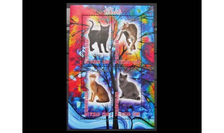 Чад 2013 г. "Кошки"