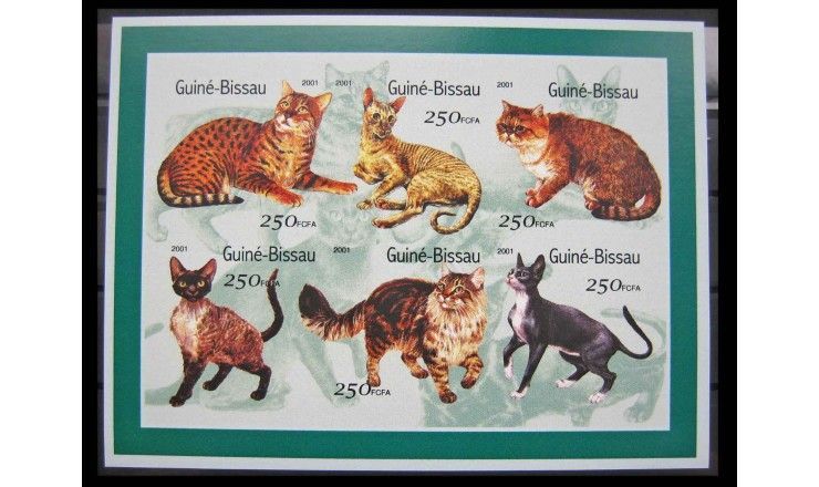 Гвинея-Бисау 2001 г. "Кошки" 
