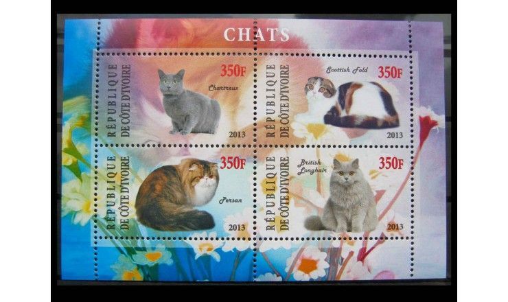 Кот-д'Ивуар 2013 г. "Кошки"