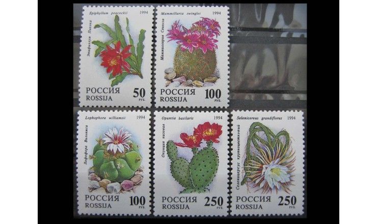 Россия 1994 г. "Кактусы"