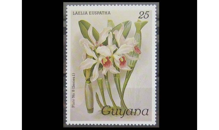 Гайана 1985 г. "Орхидеи" 