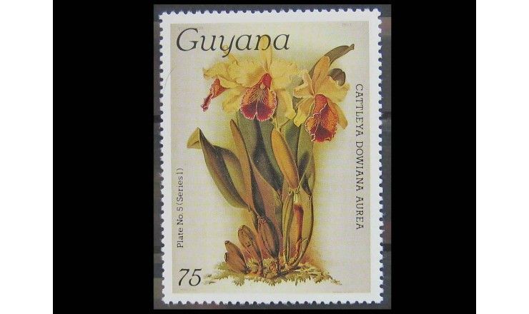 Гайана 1986 г. "Орхидеи" 