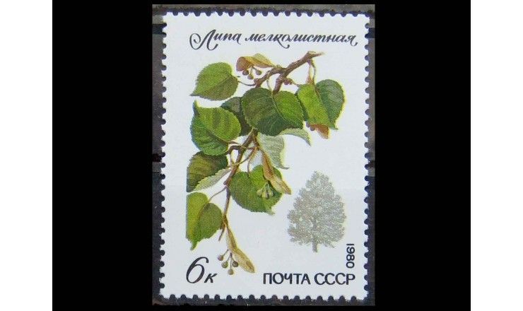 СССР 1980 г. "Охраняемые породы деревьев и кустарников"