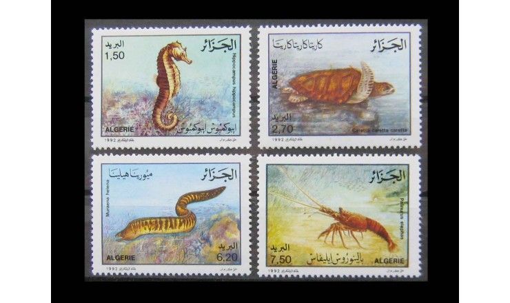 Алжир 1992 г. "Морская фауна"
