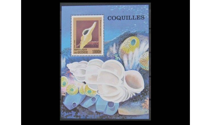 Гвинея 1998 г. "Раковины морских улиток"