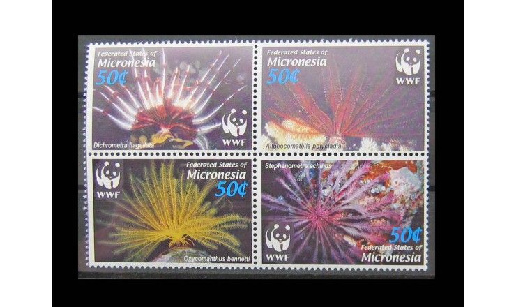 Микронезия 2005 г. "Всемирный фонд дикой природы: Морские звезды"