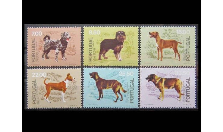 Португалия 1981 г. "50 лет Португальскому клубу собаководства"
