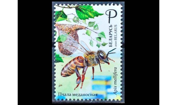Белоруссия 2020 г. "Пчеловодство в Беларуси"