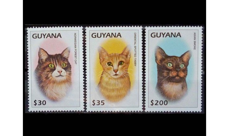 Гайана 1997 г. "Кошки"