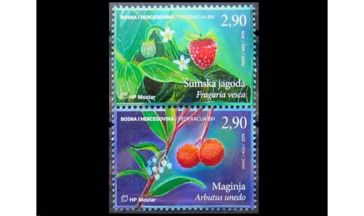 Босния и Герцеговина - Хорватская администрация 2019 г. "Флора. Земляника"