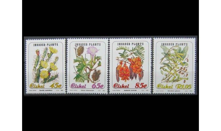 Сискей 1993 г. "Флора" 