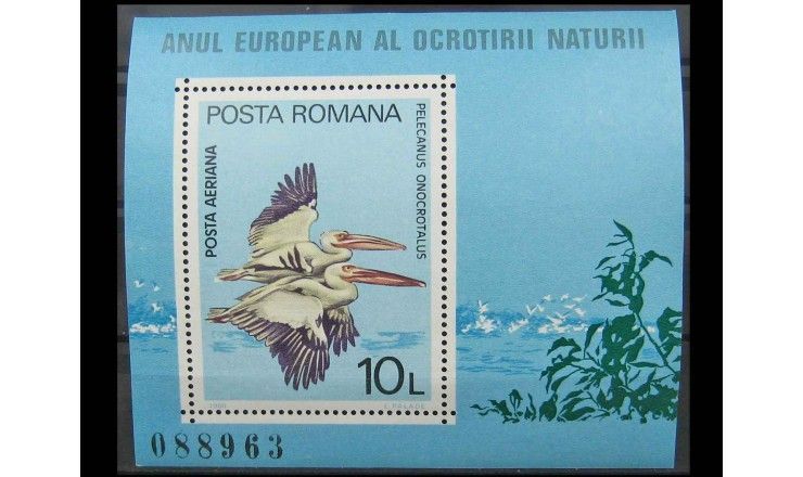 Румыния 1980 г. "Большой белый пеликан"  