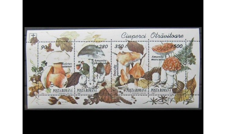 Румыния 1994 г. "Съедобные и ядовитые грибы" 