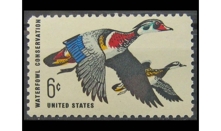 США 1968 г. "Каролинские утки"