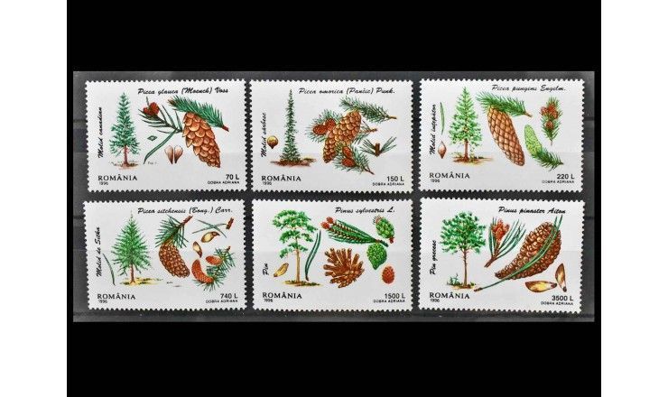 Румыния 1996 г. "Хвойные деревья"