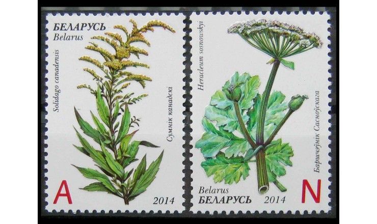 Белоруссия 2014 г. "Инвазивные растения" 