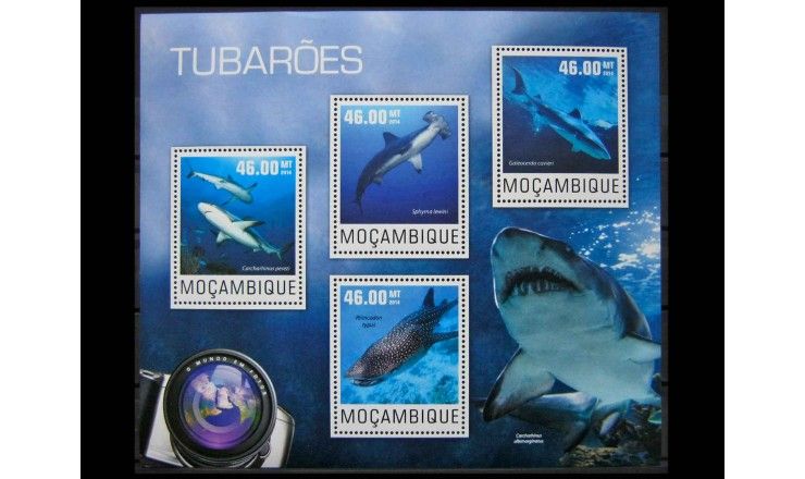 Мозамбик 2014 г. "Акулы"
