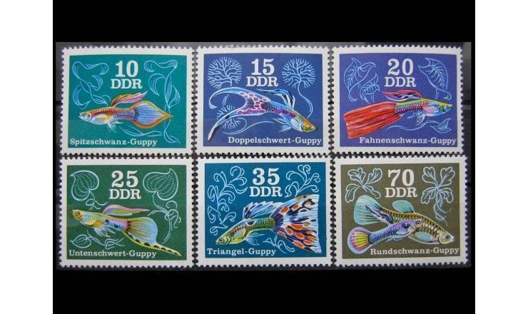 ГДР 1976 г. "Декоративные рыбки: Гуппи"