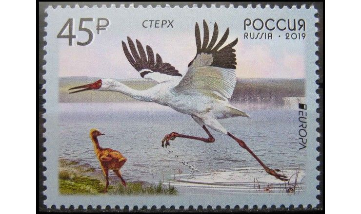 Россия 2019 г. "Стерх"