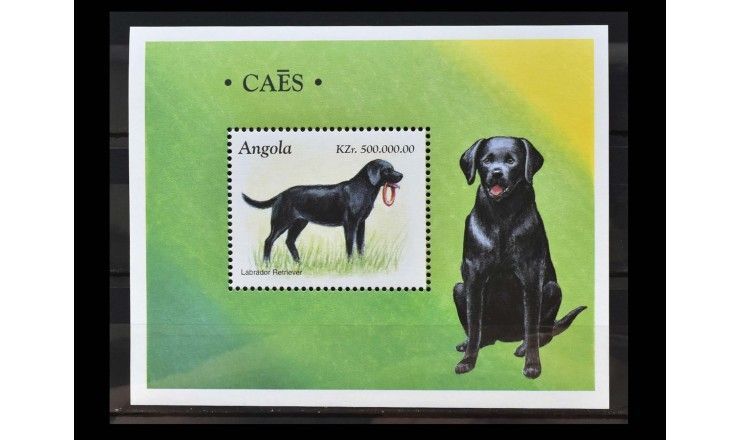 Ангола 1998 г. "Породы собак"