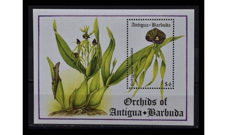 Антигуа и Барбуда 1994 г. "Орхидеи" 