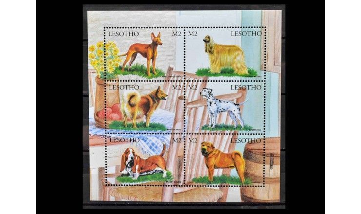 Лесото 1999 г. "Собаки"