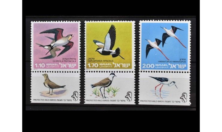Израиль 1975 г. "Охраняемые дикие птицы"