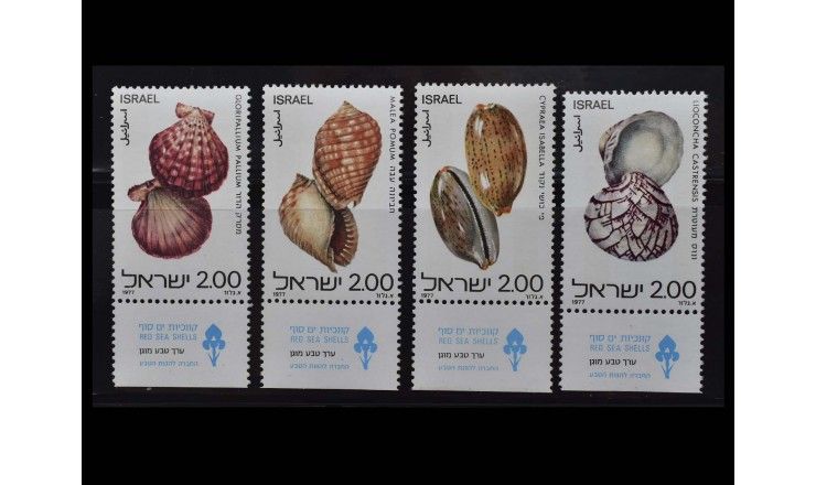 Израиль 1977 г. "Моллюски и улитки Красного моря"