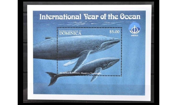 Доминика 1998 г. "Международный год океана"