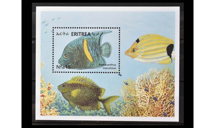Эритрея 2000 г. "Фауна Красного моря"