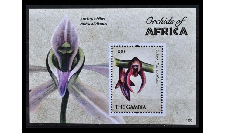 Гамбия 2011 г. "Африканские орхидеи"