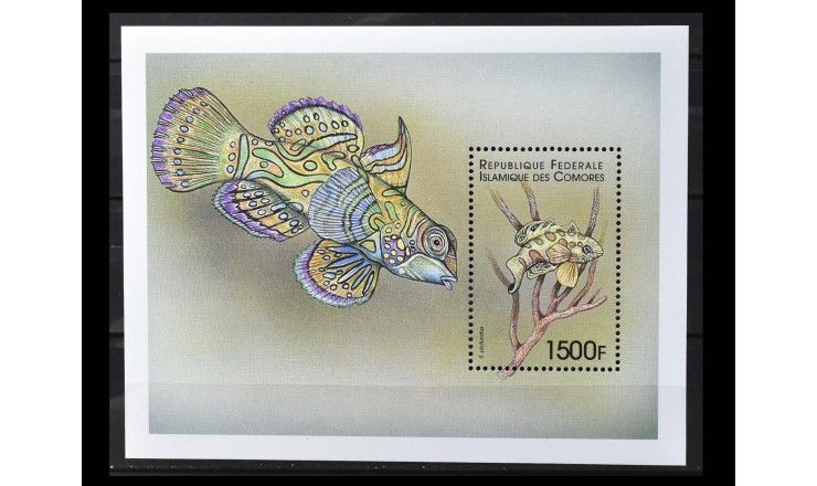 Коморские острова 1999 г. "Морские животные"