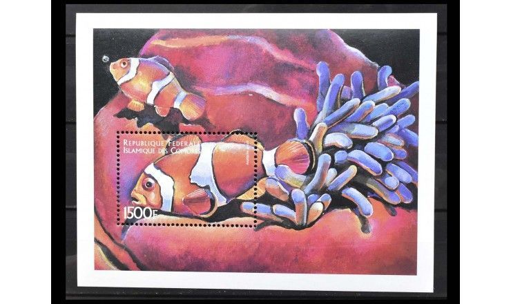 Коморские острова 1999 г. "Морские животные"