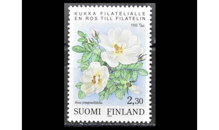 Финляндия 1993 г. "100 лет организованной филателии в Финляндии"