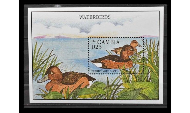 Гамбия 1995 г. "Утки"