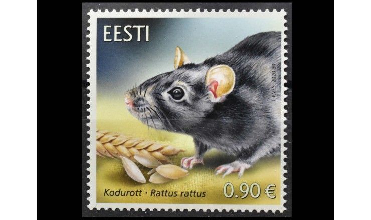 Эстония 2020 г. "Эстонская фауна-домашняя крыса"