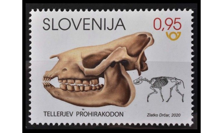 Словения 2020 г. "Ископаемые млекопитающие Словении-Прогиракодон теллери"